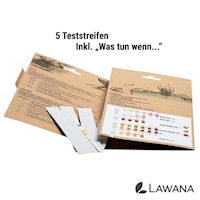 4_LawanaSchnellTest