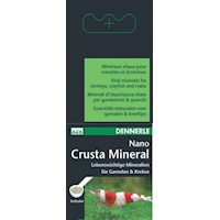 Nano Crusta Mineral 35g