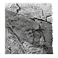 BACK TO NATURE Slimline River Basalt/Gray 60A, 50x55 cm