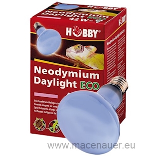 HOBBY Žárovka Neodymium Daylight Eco 70 W