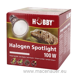 HOBBY Diamond Halogen Spotlight 100 W