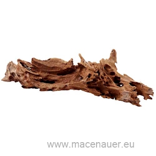 MACENAUER Mangroven-Wurzel, XL 80-90 cm
