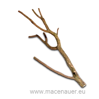 HOBBY Cork Branch M, 50 - 75 cm