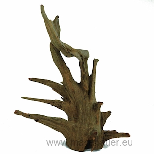 MACENAUER Kořen Corbo-Wurzel S, 30-40cm