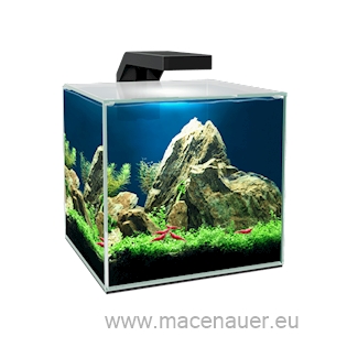 CIANO Aquarium Cube 15 Clear, 14 l