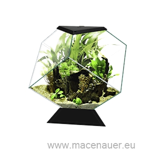 CIANO Aquarium Nexus Pure Diamond 14C, černé, 14 l 