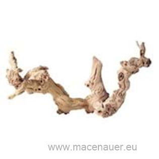 MACENAUER Kořen Vinná Réva 30-40cm