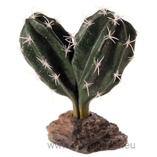 HOBBY Kaktus Sinai 13 cm 