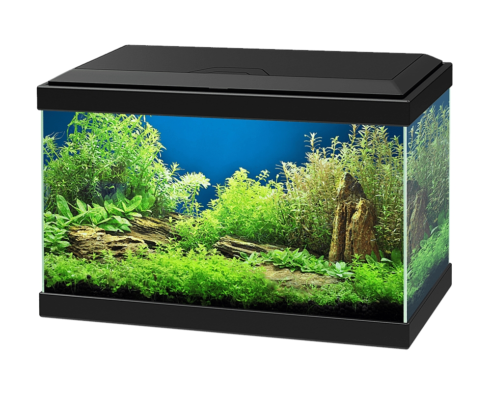 CIANO Aquarium 20, černé, 19 l