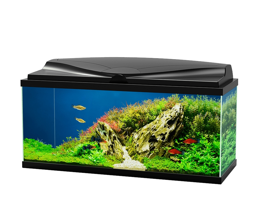 CIANO Aquarium 80, černé, 71 l