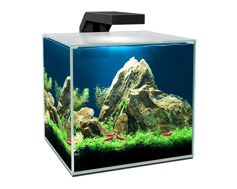 CIANO Aquarium Cube 15 Clear, 14 l