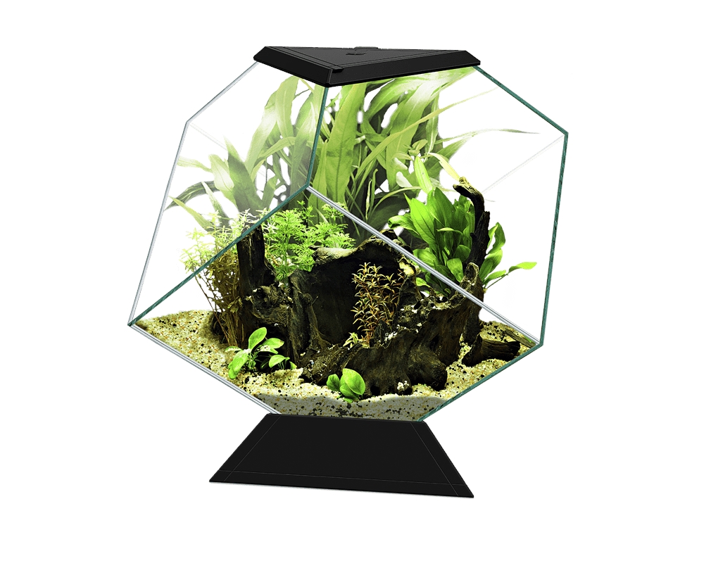 CIANO Aquarium Nexus Pure Diamond 14C, černé, 14 l 